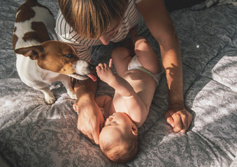 Young father and baby lying on the bed and playing with pet - dog.