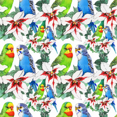 Watercolor seamless pattern with parrots and white flowers on white background.