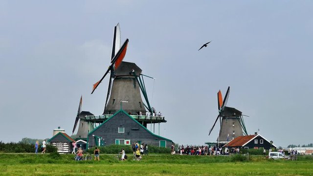 Classic Dutch windmill at Famous tourist location of Zaanse Schans at the outskirts of Amsterdam