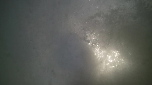 Dangerous swim in dirty Amazon water. Man saving 