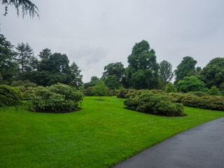 Fototapeta na wymiar Royal Botanic Garden Edinburg
