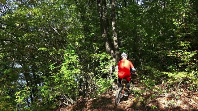 Mountain biker fast down an off road forrest 