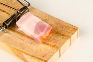 Mousetrap with bacon