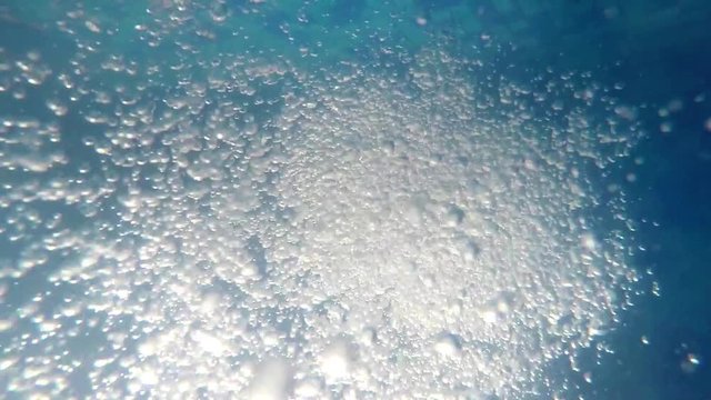 Air bubbles are floated up under the water 