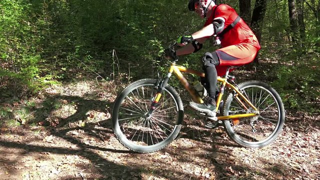 Mountain Bike traveling fast along autumn leaves forest 