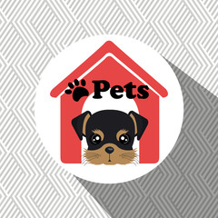 dog pets house icon vector illustration icon eps 10