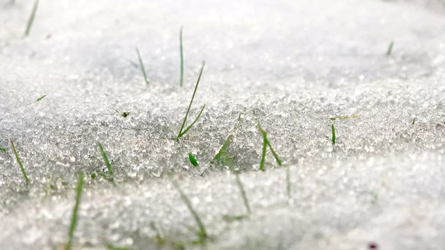 Close up shot of snow melting on a 