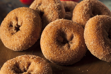 Fototapeta na wymiar Homemade Sugared Apple Cider Donuts