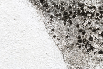 white concrete wall texture