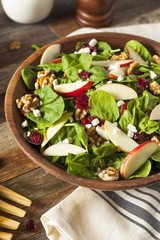Homemade Autumn Apple Walnut Spinach Salad