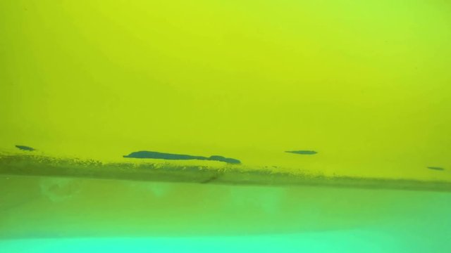 Pedal boat underwater view