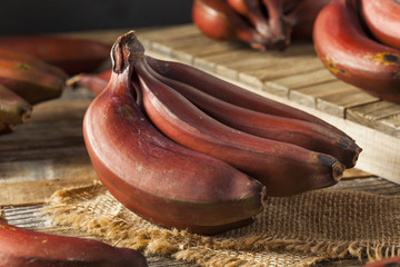 Raw Organic Red Bananas