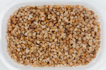 buckwheat in plastic box