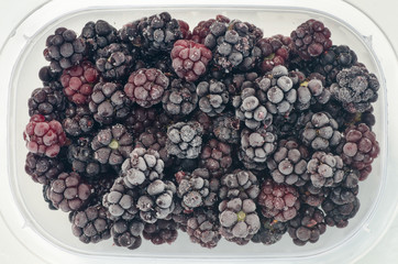 frozen blackberries in plastic box
