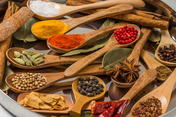 インドのスパイス集合写真　Spice India dish of the curry