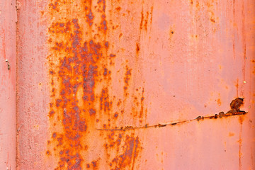 A background of peeling paint and rusty old metal