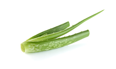 Sprouts aloe vera on a white background