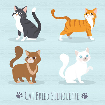 Cat Breed Silhouette