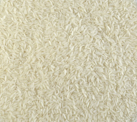 Close up of grains of jasmine rice