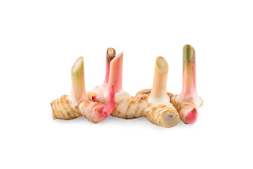 Galangal on white background