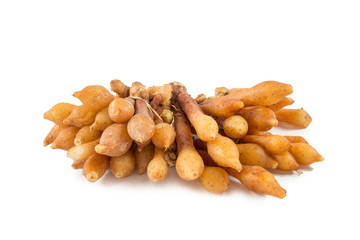 Fingerroot on white background with close up and selective fucus