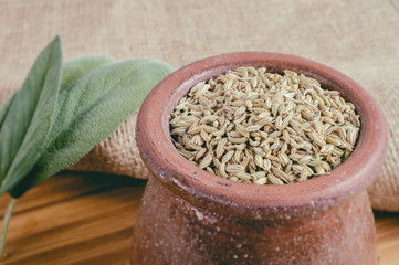 Fennel seeds in a bowl with faded effect