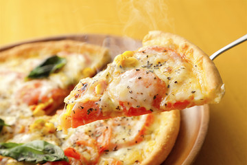 ピザ イメージ　Pizza image