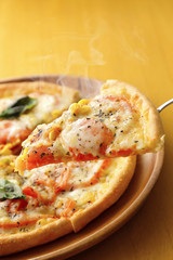 ピザ イメージ　Pizza image