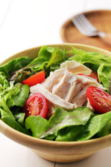 サラダ イメージ　vegetable salad image