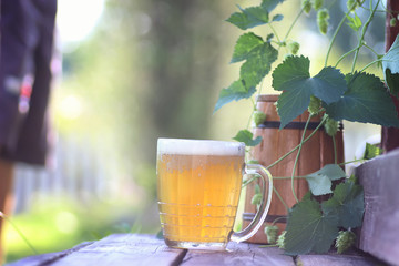 beer glass wooden hop outdoor