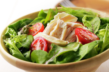 サラダ イメージ　vegetable salad image