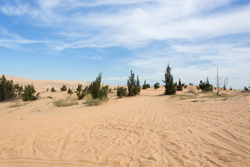 white sand dune desert in Mui Ne, Vietnam