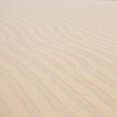white sand dune desert in Mui Ne, Vietnam