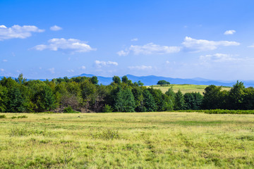 the mountains. Green Mountain Sky Beauty