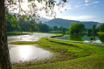 Taiping Lake Gardens