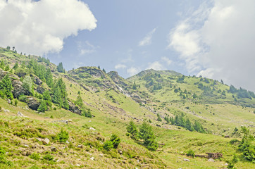 Carpathian mountains, Fagaras hills with green forest pines and rocks