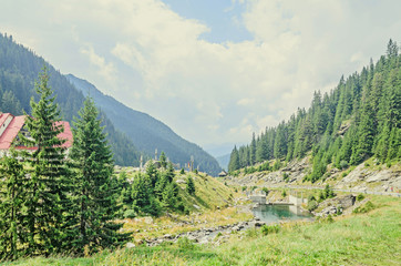 Fototapeta na wymiar Carpathian mountains, Fagaras hills with green forest pines