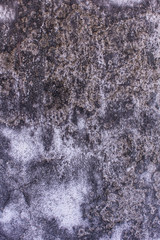 old cement wall texture and background