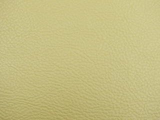 Monotone texture of the leather.