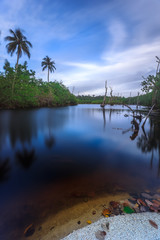 trees around on the beach
