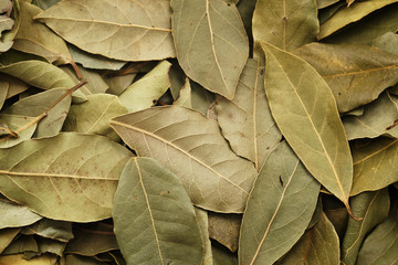 dry bay leaves background