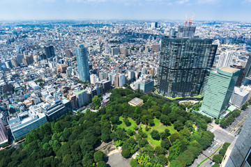 新宿中央公園と東京の町並み