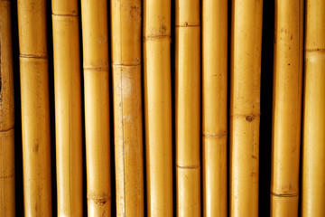 Yellow bamboo textured background.