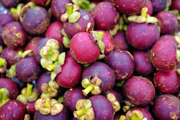 Colorful magosteen fruits.