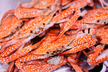 Sea food. Boiled crabs.