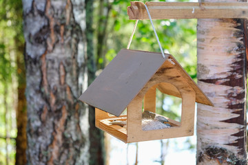 wooden bird feeder