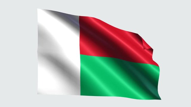 Madagascar flag with transparent background