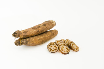 Lotus root