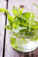 Green fresh mint on the wooden table