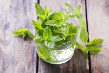 Green fresh mint on the wooden table